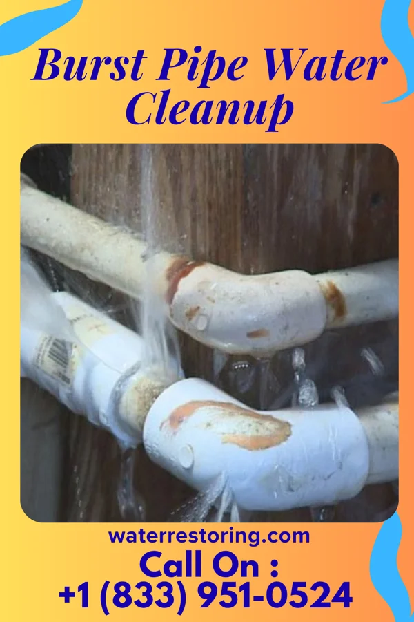 Burst Pipe Water Cleanup in Rush Hill, MO